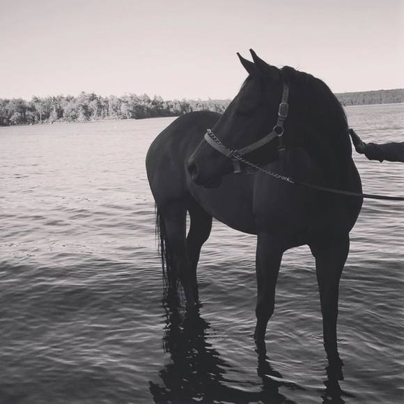 Meet your Posher, Victoria - Picture 1 of 1